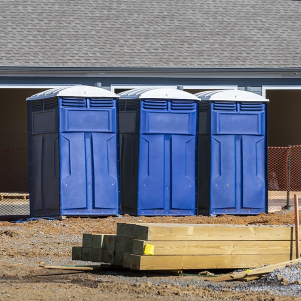 how often are the porta potties cleaned and serviced during a rental period in Buchanan Virginia